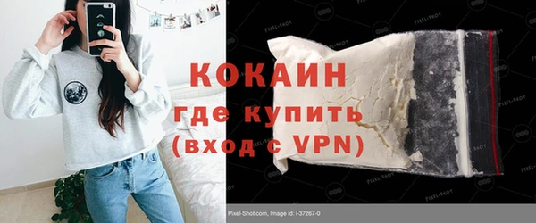 spice Гвардейск