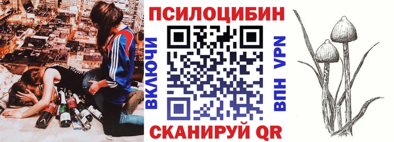 закладки  Сургут  Псилоцибиновые грибы Cubensis 