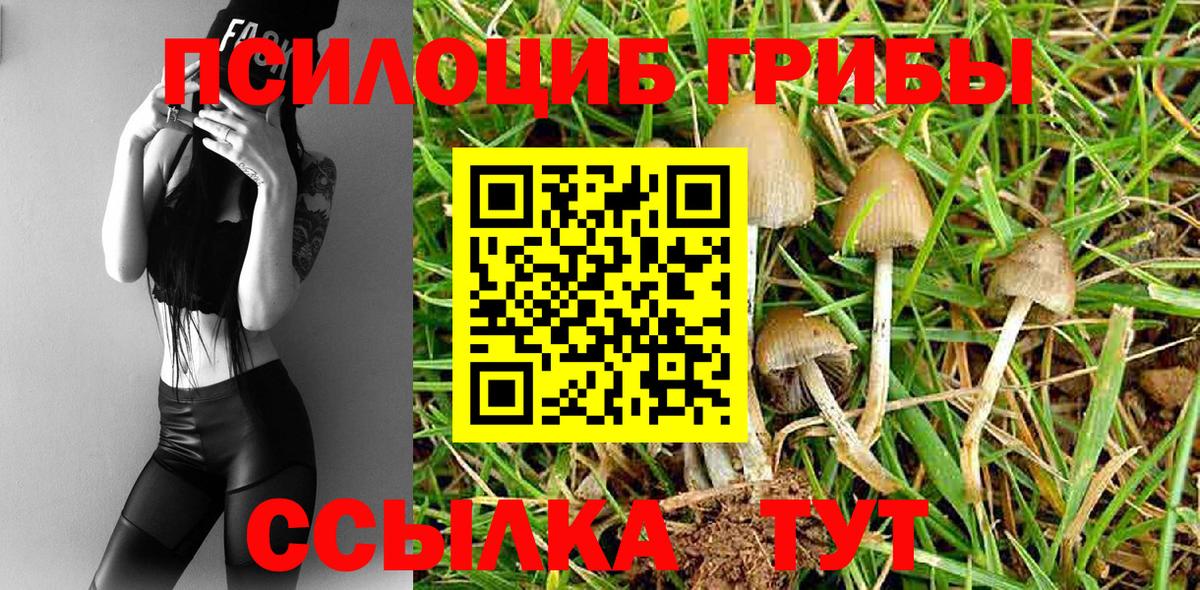 Галлюциногенные грибы ЛСД  Псилоцибиновые грибы мухоморы  Сургут 