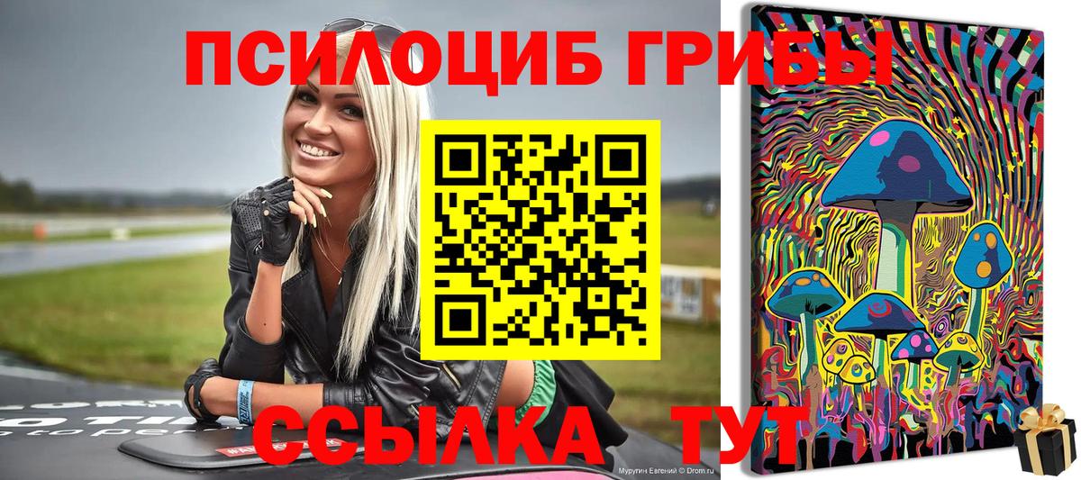 Сургут  цены наркотик  Вход с VPN  Псилоцибиновые грибы GOLDEN TEACHER 